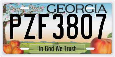 GA license plate PZF3807