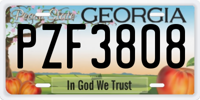 GA license plate PZF3808