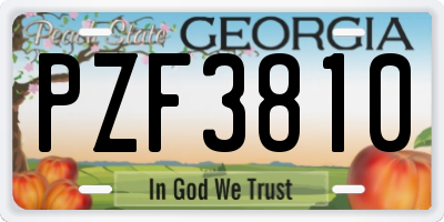 GA license plate PZF3810