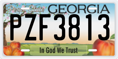 GA license plate PZF3813