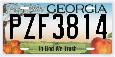 GA license plate PZF3814