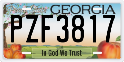 GA license plate PZF3817