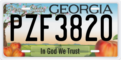 GA license plate PZF3820