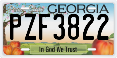 GA license plate PZF3822