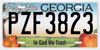 GA license plate PZF3823