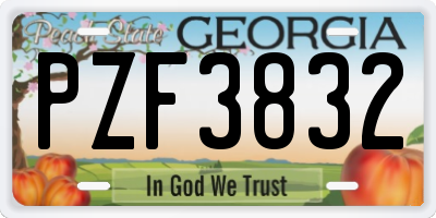GA license plate PZF3832