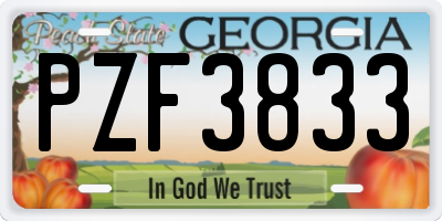 GA license plate PZF3833