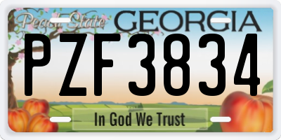 GA license plate PZF3834