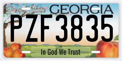 GA license plate PZF3835