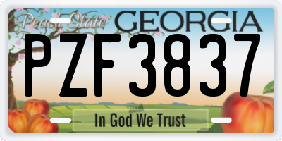 GA license plate PZF3837