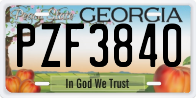 GA license plate PZF3840