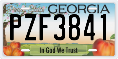 GA license plate PZF3841