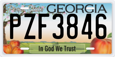GA license plate PZF3846