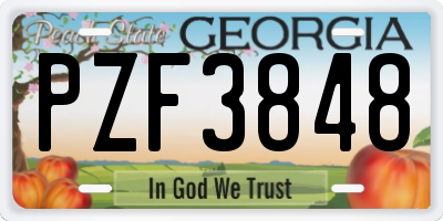 GA license plate PZF3848