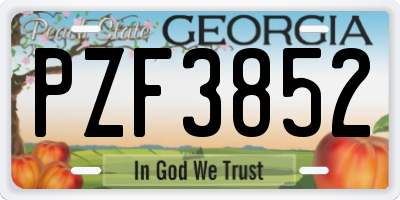 GA license plate PZF3852