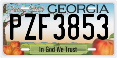 GA license plate PZF3853