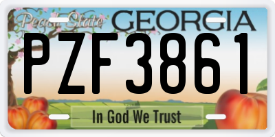 GA license plate PZF3861