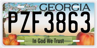 GA license plate PZF3863