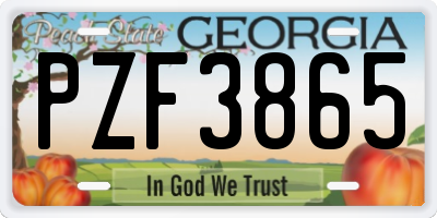 GA license plate PZF3865