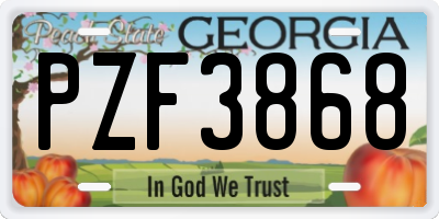 GA license plate PZF3868