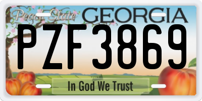 GA license plate PZF3869
