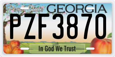 GA license plate PZF3870