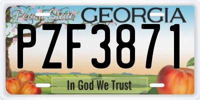 GA license plate PZF3871