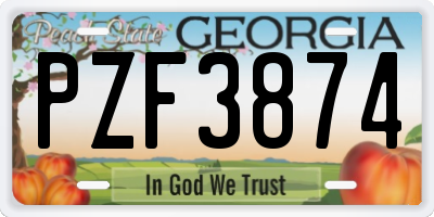 GA license plate PZF3874