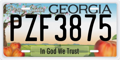 GA license plate PZF3875