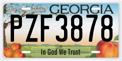 GA license plate PZF3878