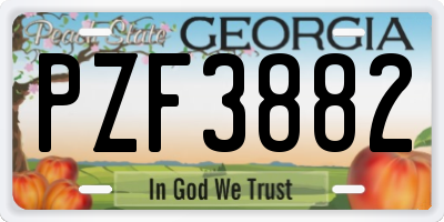 GA license plate PZF3882