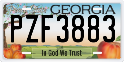 GA license plate PZF3883