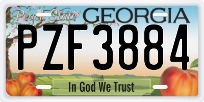 GA license plate PZF3884