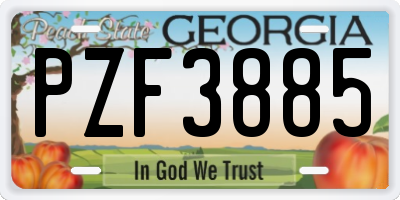 GA license plate PZF3885
