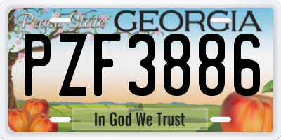 GA license plate PZF3886
