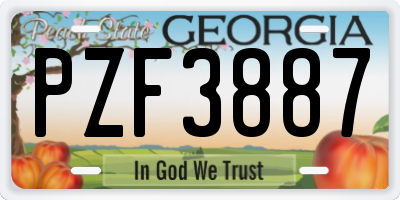 GA license plate PZF3887