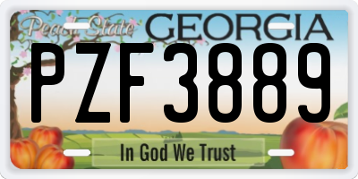 GA license plate PZF3889