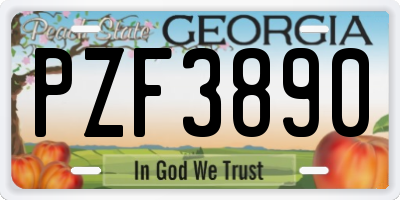 GA license plate PZF3890