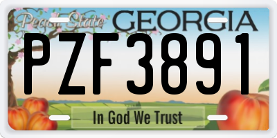 GA license plate PZF3891