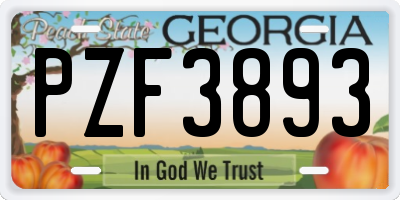 GA license plate PZF3893