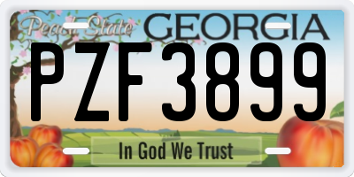 GA license plate PZF3899