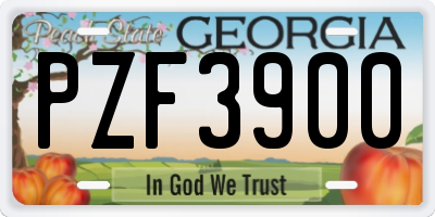 GA license plate PZF3900