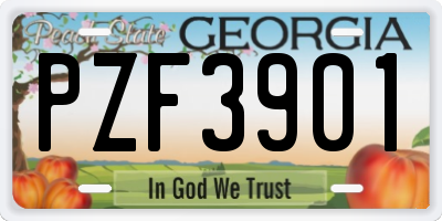 GA license plate PZF3901