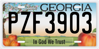 GA license plate PZF3903