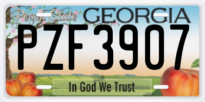 GA license plate PZF3907