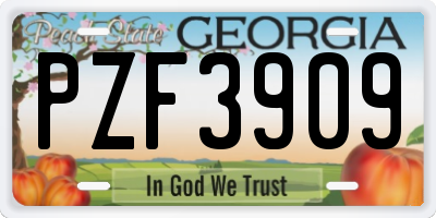 GA license plate PZF3909