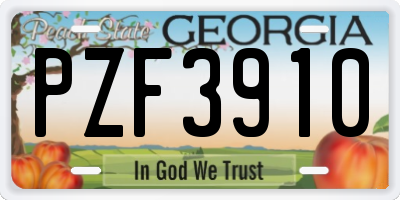 GA license plate PZF3910