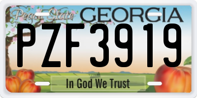GA license plate PZF3919