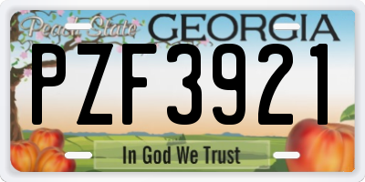 GA license plate PZF3921