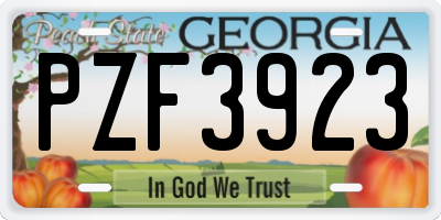 GA license plate PZF3923